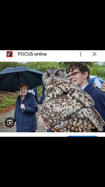 BRiD Politik scheitert aber sie stehen fest verankert auch wenn sie untergehen.