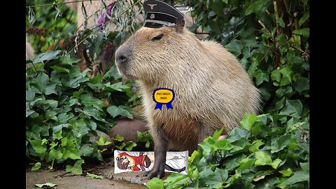 Clair Obscur Expedition 33: part 12