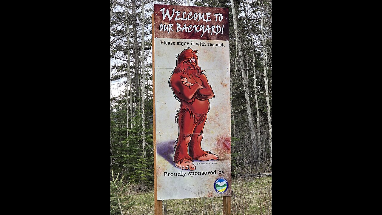 SASQUATCH IN MY BACKYARD!