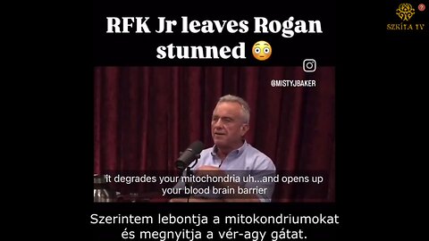 Robert F. Kennedy Jr - Joe Rogan: Wifi és lyukas agy