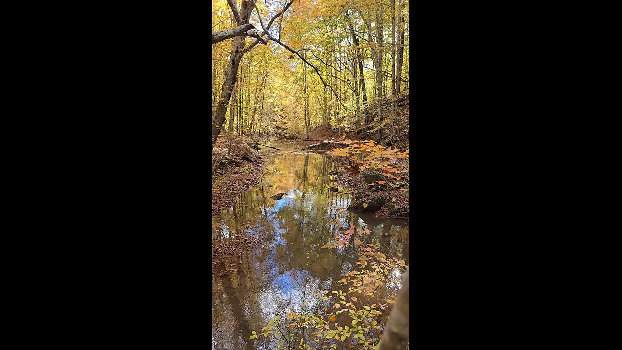 Fall Creek & Fall Colors