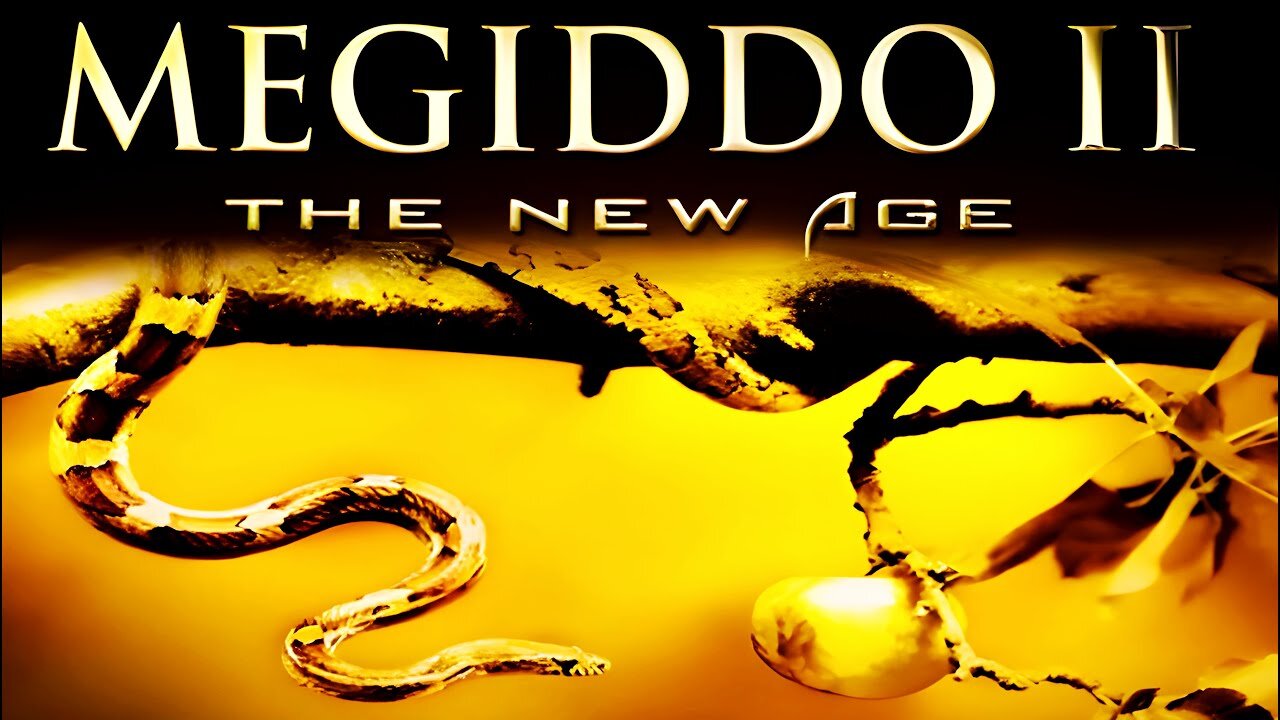 MEGIDDO 2 The March to Armageddon The New Age Dave Hunt