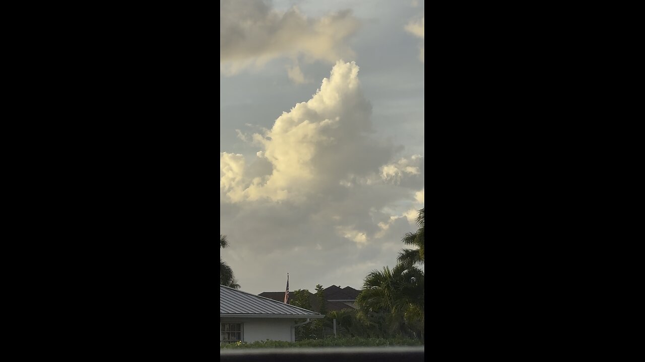 What do you see? | 4K