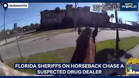 Viral Video_ Florida Sheriffs On Horseback Chase A Man They Say Was A Drug Suspect