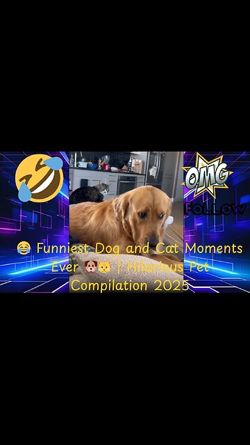 😂 Funniest Dog and Cat Moments Ever 🐶🐱 | Hilarious Pet Compilation 2025