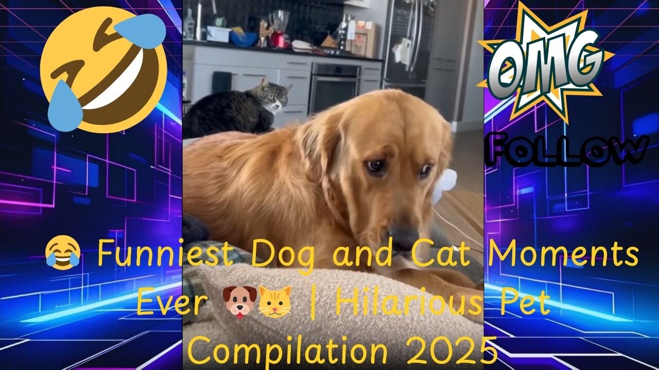 😂 Funniest Dog and Cat Moments Ever 🐶🐱 | Hilarious Pet Compilation 2025