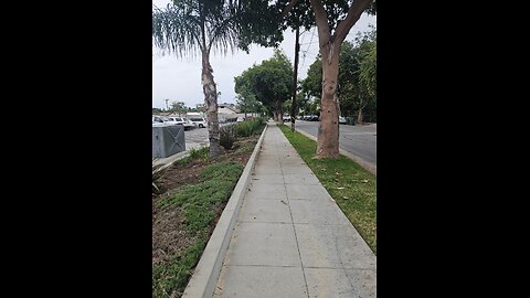 End of the year 🎉 celebration 🎉