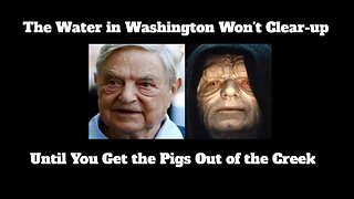 The Water in Washington Won't Clear-up Until You Get the Pigs Out of the Creek