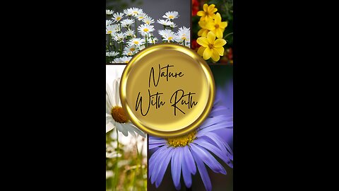 Mission Statement For Nature with Ruth ☺️