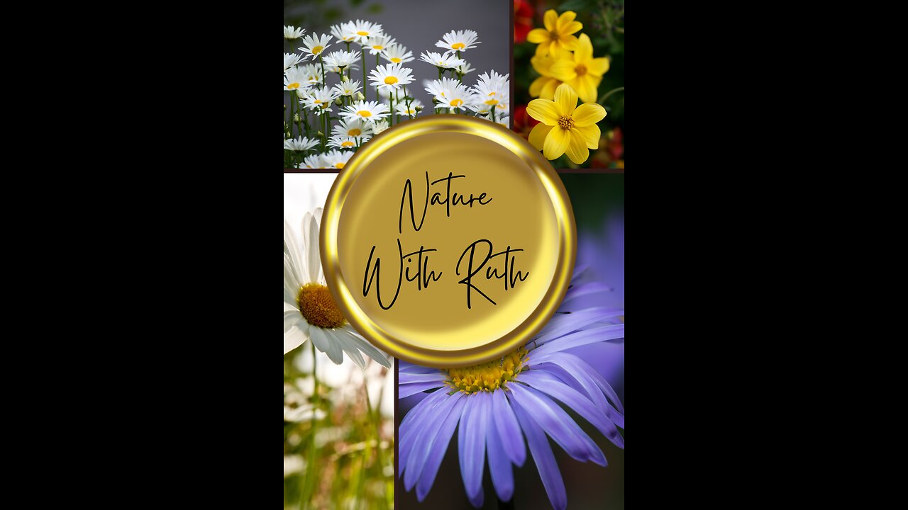 Mission Statement For Nature with Ruth ☺️