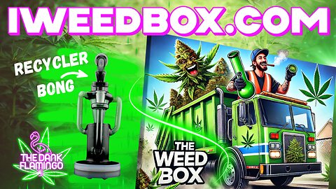 Opening A Dank Gift Box From The Weed Box!!! The Dank Flamingo THCa Cannabis Review!!