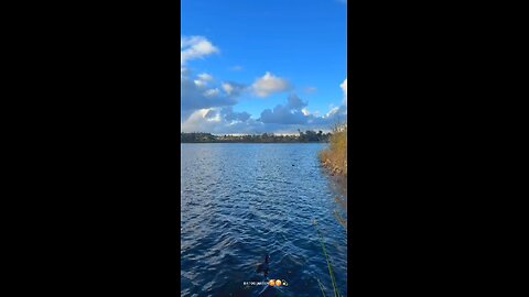 #foryoupage#viralvideo