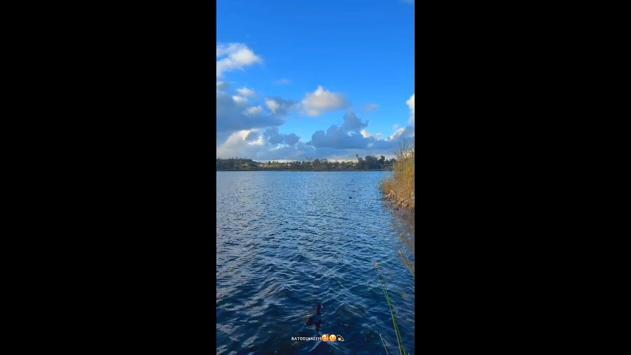 #foryoupage#viralvideo