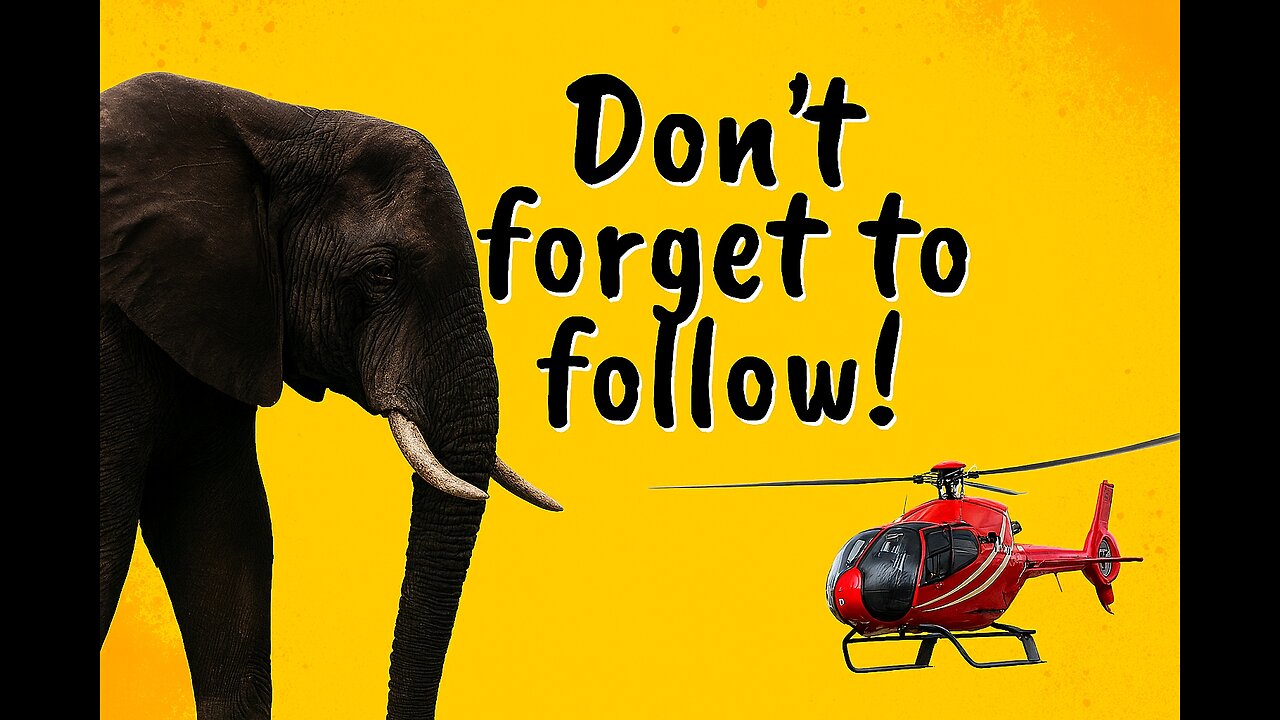 Elephant Rescued from Steep Cliff