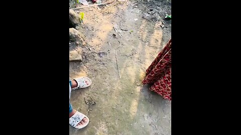 ভাগ্যে থাকলে GF হবে 😀