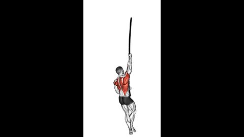 Legless Rope Climb Exercise.