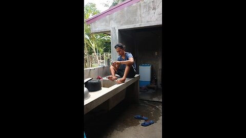 Northpaul Episode 545