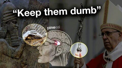 Your new teacher is robbed rape robot hear it's commands