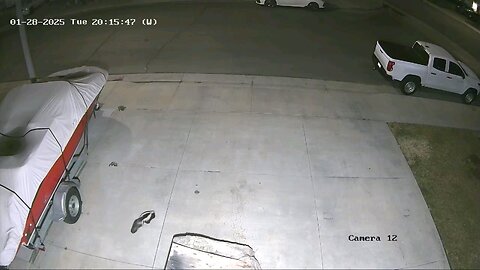 another visit from our friend the skunk