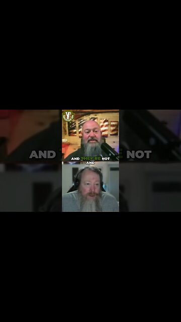 Seagulls: Aggressive, Smart, and Food-Stealing Terrors! #shorts