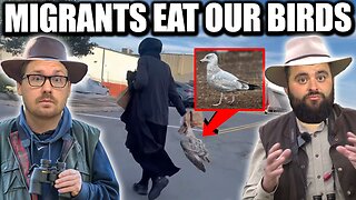 Massachusetts Migrant Caught Eating Our Sea Birds - EP314