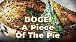 DOGE: A Piece of the Pie