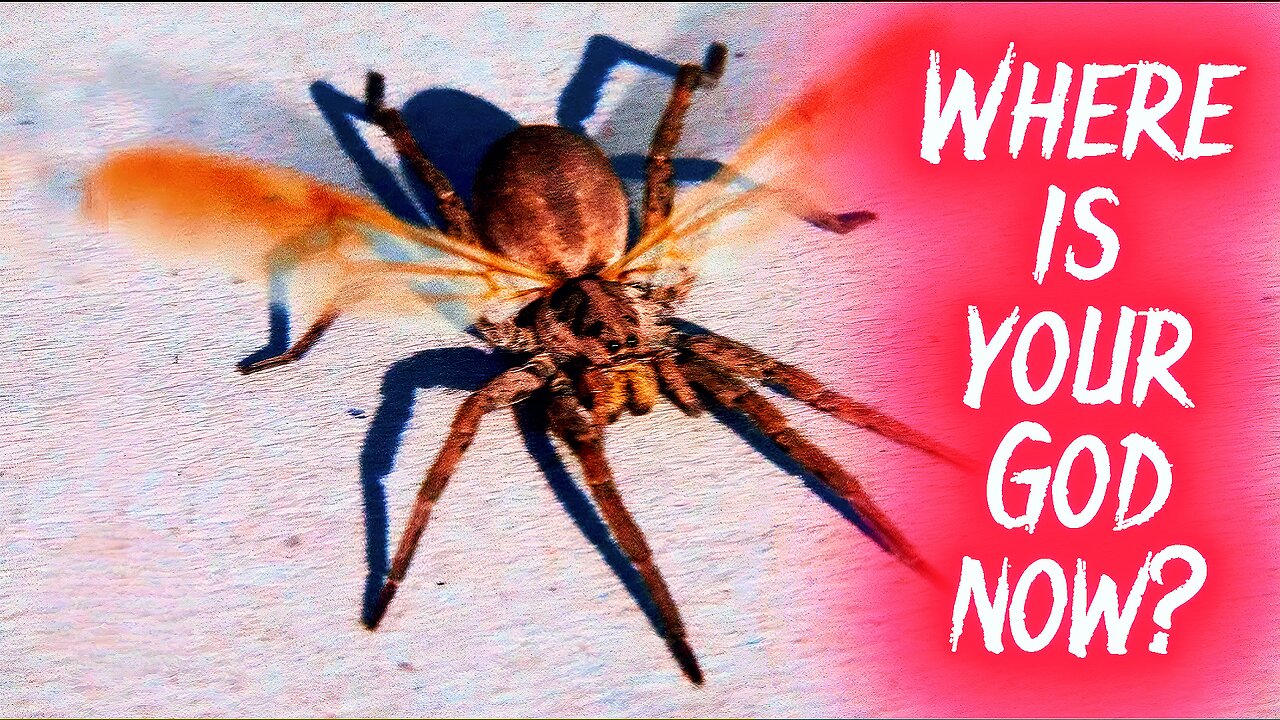 Please pray for Laura Loomer 🙏🏻