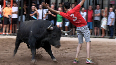 2025 08 29-30 NULES SAN BARTOLOMÉ