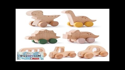 Wooden Baby Car Toys Beech Wooden Dinosaur Cartoon Car Teether Educational Montessori Review