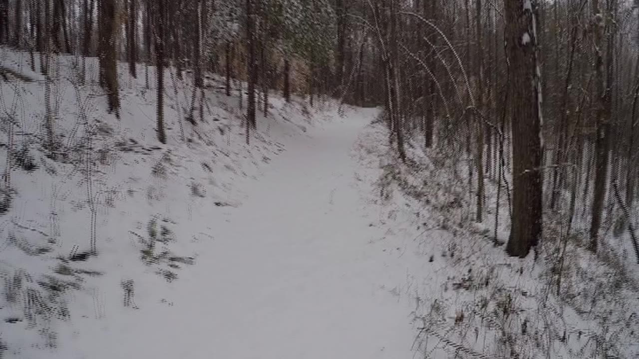 Tracking a Buck