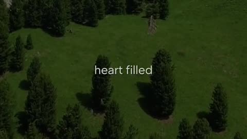 🕊️🌟 A Prayer for Guidance | Seeking God's Wisdom | InGodWeTrustDaily