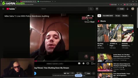 Swedish Targeted Individual Police Encounters