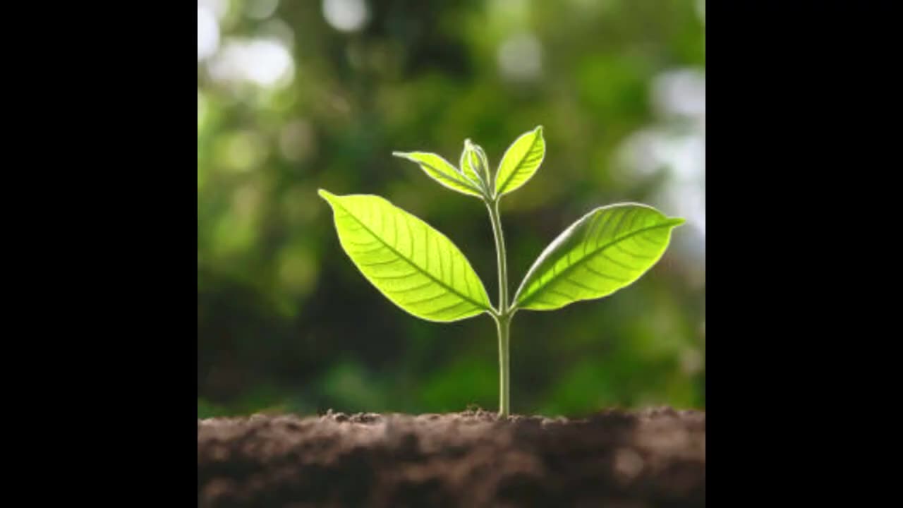 It Takes Time to Grow
