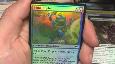 Pick of the Day- Day 36!