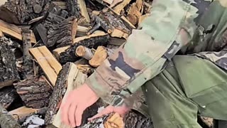 Survival Skills_ How to Gather Firewood in the Snow! #livingoffgrid #firewood