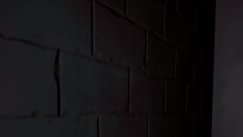 GIANT MONKEY ENTITY SCARE IN MIMESIS