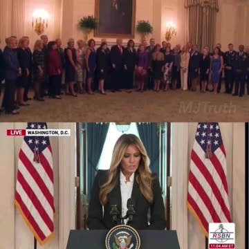 Melania wore same exact outfit today as the Calm before the storm Day