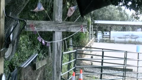 Skipper Calder & Cowboy-up Ministry bring horse training with a message at 11am.