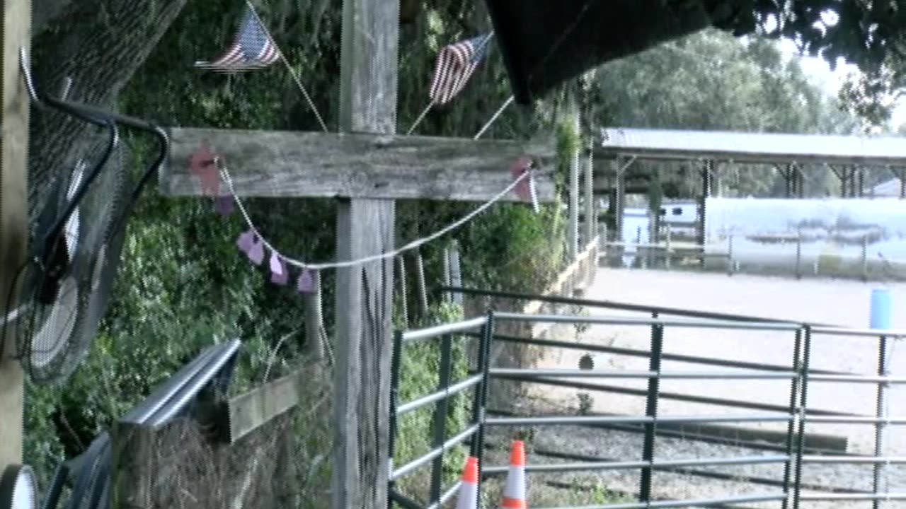 Skipper Calder & Cowboy-up Ministry bring horse training with a message at 11am.