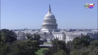 TWO CATS U.S. POLITICAL NEWS