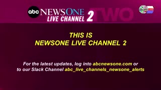 TWO CATS U.S. POLITICAL NEWS