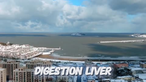 Brain Supplements After 50: Myths, Evidence, and What Really Works