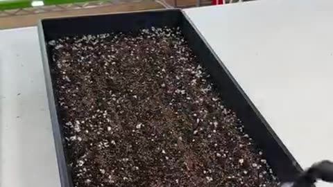 You can do it home!