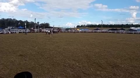 Jineteadas en pelo y en basto - 19° edición "A pura tradición" - Fraile Muerto 01/02/2026