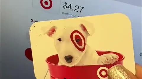 The Movie Cleaner Who Saw Too Much