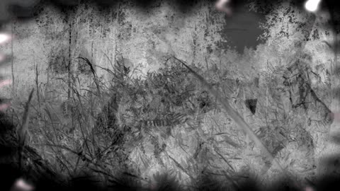 FESTERDAY - The Ones Who Strangle Stars and Suns (Official Music Video)