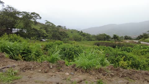 Inside the Coca Business - Bolivia