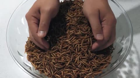 Listen carefully to the final statement in this chilling video, "Once the Digital ID... 