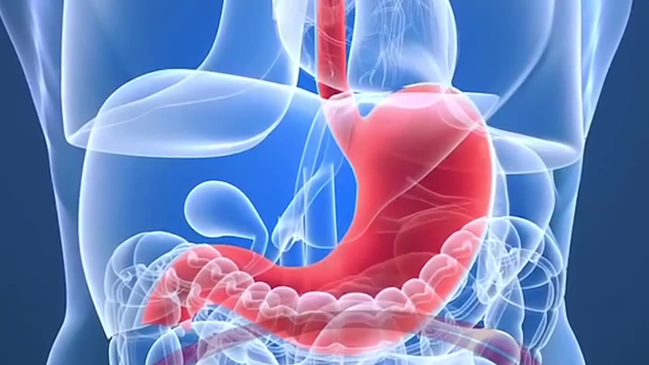 Did you know trillions of bacteria that play a HUGE role in your overall health?