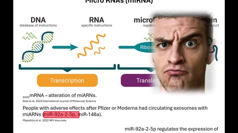 The COVID-19 mRNA vaccines can change the microRNA (miRNA) expression.